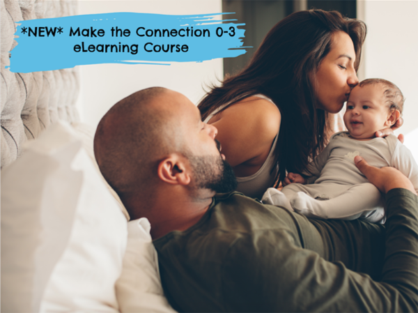 Make the Connection 0-3 eLearning Course (Product Code: 6317d)